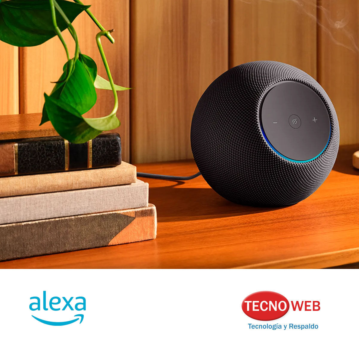 Amazon Echo Echo Dot Max Con Asistente Virtual Alexa Grafito