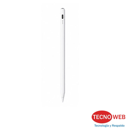 Lapiz para iPad y Tablet Stylus Pen USB-C