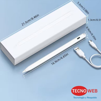 Lapiz para iPad y Tablet Stylus Pen USB-C